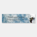 Pesquisar por nature adesivos carros Photograph