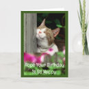 Pesquisar por gato feliz aniversario cartoes postais Fotografia