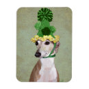 Pesquisar por animals imas Flores