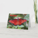 Pesquisar por duas borboletas convites Qualquer pessoa