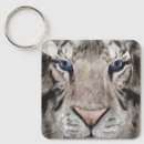 Pesquisar por tigre branco chaveiros Animal selvagem