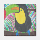 Pesquisar por tucano imas Aves tropicais