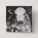 Pesquisar por do celeiro quadrados botons Celeiros