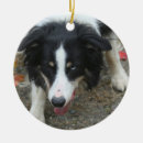Pesquisar por tri ornamentos Animal