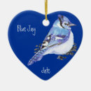 Pesquisar por jay ornamentos Jato