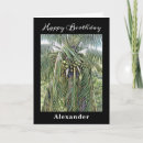 Pesquisar por coconut cartoes Para todos