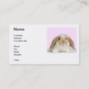 Pesquisar por lop coelho orelhudo Coelhos