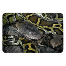 Pesquisar por de cobre imas Amor