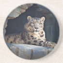 Pesquisar por leopardo de neve porta copos Animal