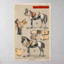 Pesquisar por sela pósteres Equestre