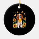 Pesquisar por king ornamentos Cachorros