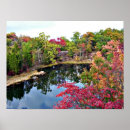 Pesquisar por missouri fotografia Paisagem