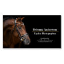 Pesquisar por estábulos do cavalo cartao de visita Fotografia