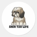 Pesquisar por do tzu shih adesivos Amante de cachorro
