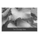 Pesquisar por folha branca pósteres Para todos