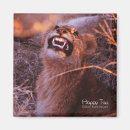 Pesquisar por dente feliz imas Dentes