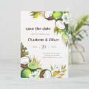 Pesquisar por coco convites Para todos