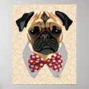 Pesquisar por galo vermelho pôsteres pósteres Animais