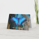 Pesquisar por morpho cartoes Azul