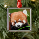 Pesquisar por panda do natal ornamentos Pandas