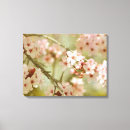 Pesquisar por cerejeira impressão de canvas Floral
