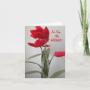 Pesquisar por still life cartoes Color