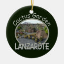Pesquisar por cactus ornamentos Jardim