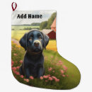 Pesquisar por labrador retriever de natal meias de natal Cães