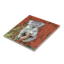 Pesquisar por animais selvagens azulejos Pele