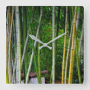 Pesquisar por bambu verde relogios de parede Floresta