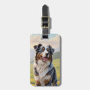 Pesquisar por shepard australiano Cachorro