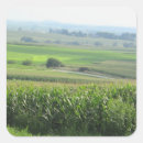 Pesquisar por midwest Fazenda