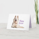 Pesquisar por german shepherd branco cartoes Pastor