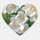 Pesquisar por mulher com flores adesivos Florais