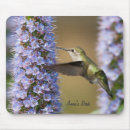 Pesquisar por do colibri eletronicos Animais selvagens