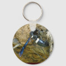 Pesquisar por vespas chaveiros Inseto