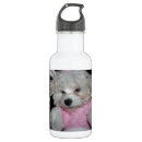 Pesquisar por gatinho garrafa agua Bonito