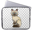 Pesquisar por ragdoll eletronicos Gato