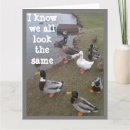 Pesquisar por ganso engraçado cartoes Aniversário