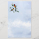 Pesquisar por flores brancas papel timbrado Natureza