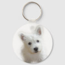 Pesquisar por do westie chaveiros Cão
