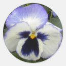 Pesquisar por pervinca adesivos Natureza