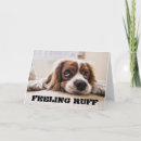 Pesquisar por bem estar cartoes Cão