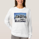 Pesquisar por hawkeyes camisetas Aviões