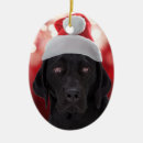 Pesquisar por labrador retriever ornamentos Laboratório preto