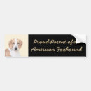 Pesquisar por foxhounds Para todos
