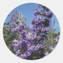 Pesquisar por árvore roxa adesivos Para todos