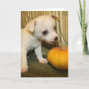 Pesquisar por dog halloween cartoes Chihuahua