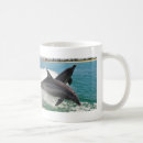 Pesquisar por golfinho de bottlenose Golfinhos