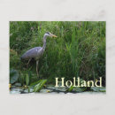Pesquisar por netherlands cartoes postais Holland